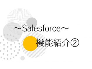 ~Salesforce~機能紹介②