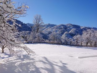 新年初　真冬のお天気KOTELOワーク