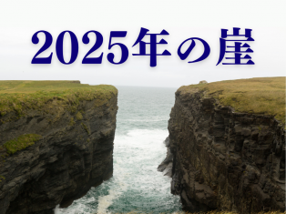 ついに！2025年の崖！！！