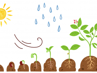 いよいよ明日から4月です🌷